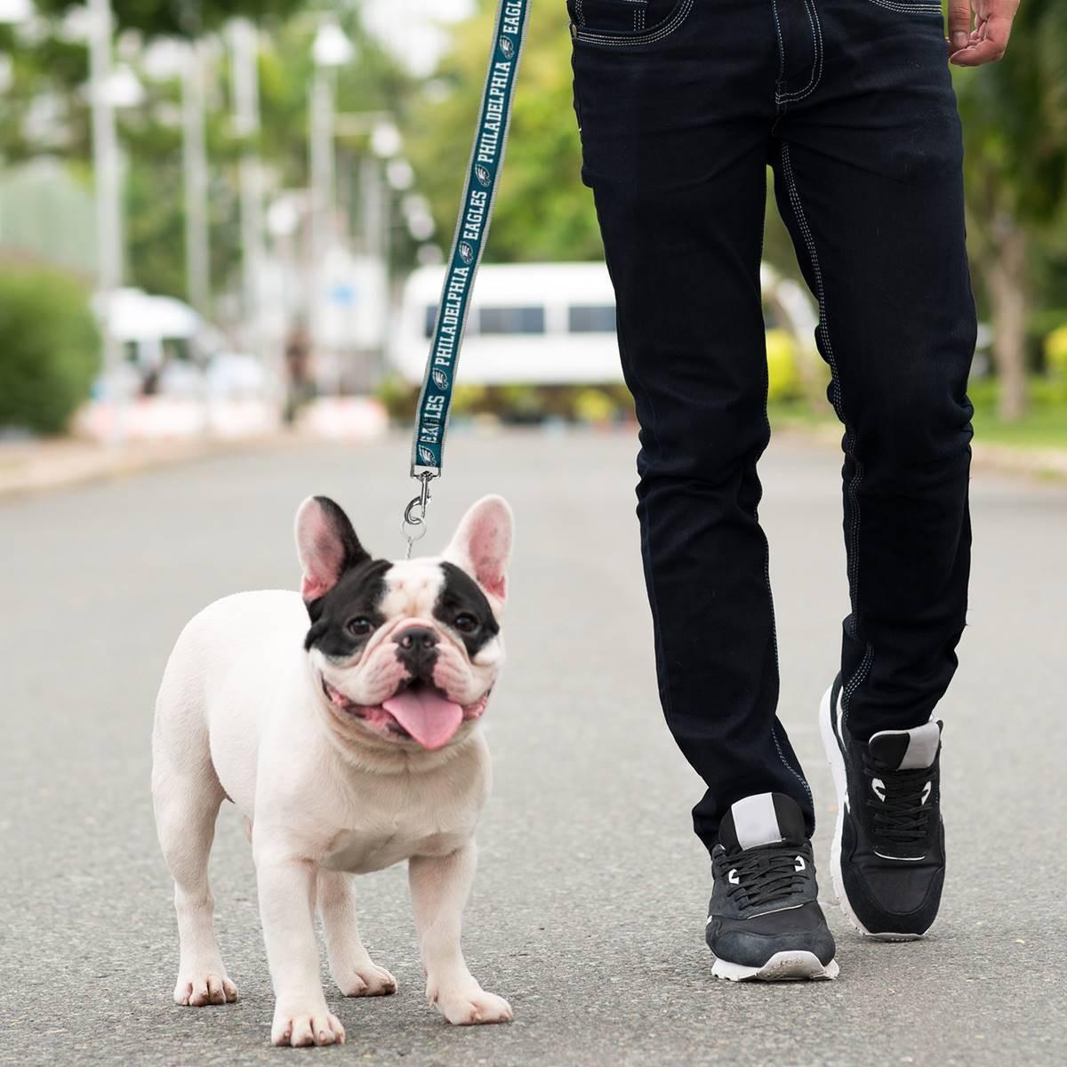 Pet Collars & Leashes