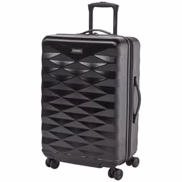 Leisure Odyssey 20in. Spinner Luggage